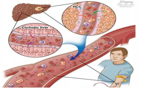 圖片1.png 圖片1.png